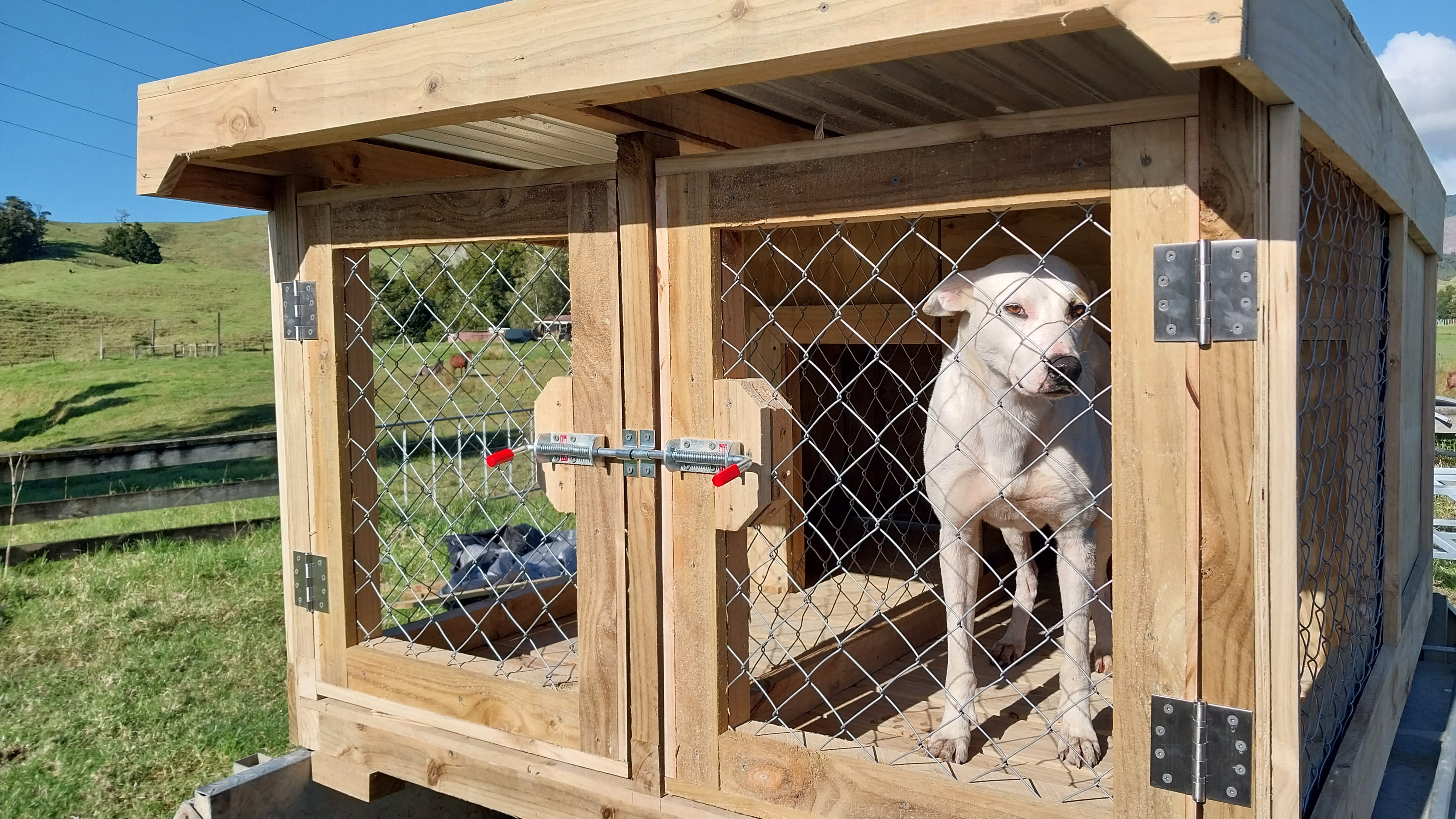 2 bay shop dog kennel